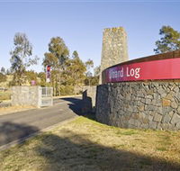 Lizard Log - Lightning Ridge Tourism