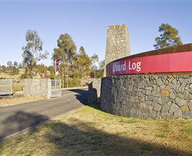 Lizard Log - Lightning Ridge Tourism 0
