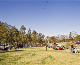 Lizard Log - Lightning Ridge Tourism 1