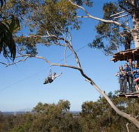 TreeTop Safari - Lightning Ridge Tourism