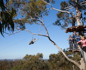 TreeTop Safari - Lightning Ridge Tourism 0