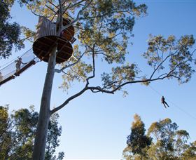 TreeTop Safari - Lightning Ridge Tourism 3