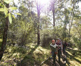 TreeTop Safari - Lightning Ridge Tourism 4