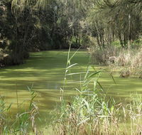 Second Ponds Creek walk - Lightning Ridge Tourism