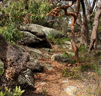 Box Head track - Lightning Ridge Tourism