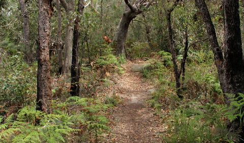 Box Head Track - Lightning Ridge Tourism 1