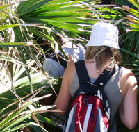 Palm Jungle loop track - Lightning Ridge Tourism