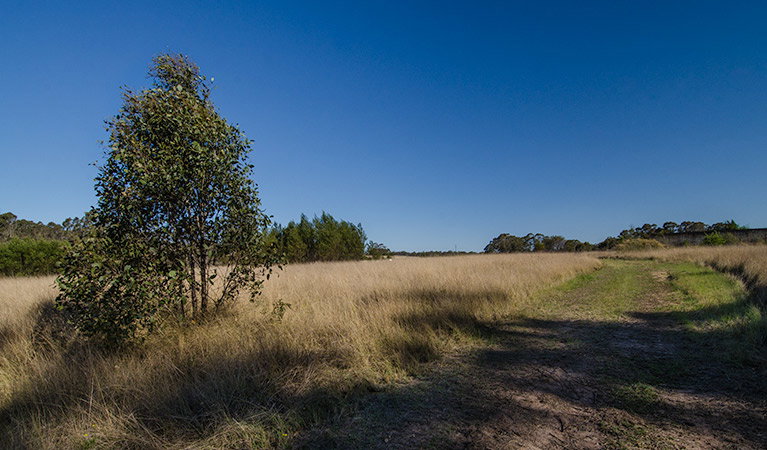 Oakville NSW Lightning Ridge Tourism