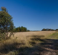 Scheyville horse riding trails - Lightning Ridge Tourism