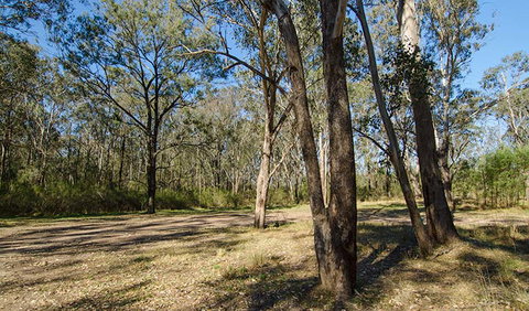 Scheyville Horse Riding Trails - Lightning Ridge Tourism 1