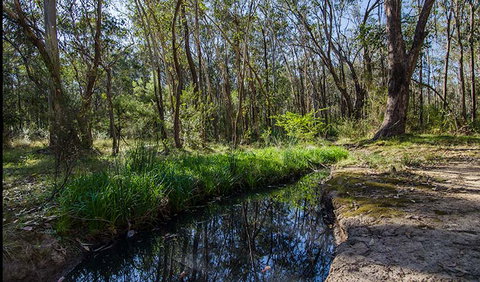Scheyville Horse Riding Trails - Lightning Ridge Tourism 2