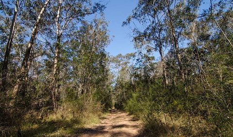 Scheyville Horse Riding Trails - Lightning Ridge Tourism 3