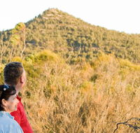 Piles Creek loop - Lightning Ridge Tourism