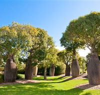 Mt Penang Gardens - Lightning Ridge Tourism