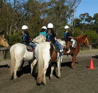 Darkes Forest Riding Ranch - Lightning Ridge Tourism