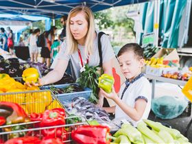Adelaide Farmers' Market Showground - Lightning Ridge Tourism 0