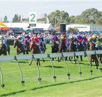 Morphettville Racecourse - Lightning Ridge Tourism