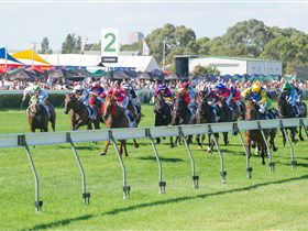 Morphettville Racecourse - Lightning Ridge Tourism 0