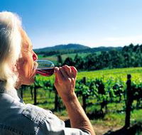 Ashton Hills Vineyard - Lightning Ridge Tourism