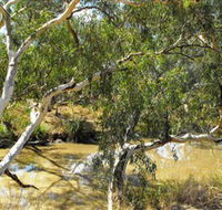 Quilberry Creek Fishing - Lightning Ridge Tourism