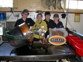 Melba's Chocolate And Confectionery Factory - Lightning Ridge Tourism 1