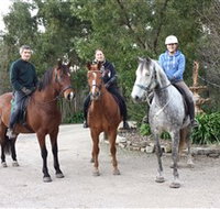 Academy of Dressage - Lightning Ridge Tourism