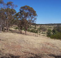 Onkaparinga River National Park - Lightning Ridge Tourism