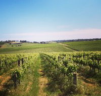 Adelaide Winemakers - Lightning Ridge Tourism