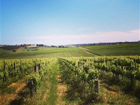 Adelaide Winemakers - Lightning Ridge Tourism 0