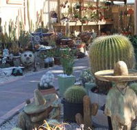 Cactus Creations - Lightning Ridge Tourism