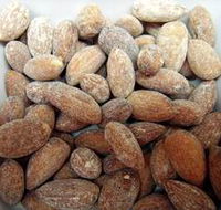 Almondco Almond Hut - Lightning Ridge Tourism