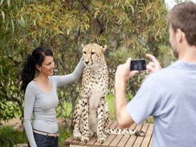 Monarto Open Range Zoo - Lightning Ridge Tourism 1
