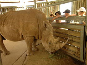 Monarto Open Range Zoo - Lightning Ridge Tourism 2