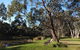 Mount Compass And District Produce And Tourist Trail - thumb 3