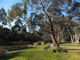 Mount Compass And District Produce And Tourist Trail - Lightning Ridge Tourism 3