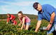 Mount Compass And District Produce And Tourist Trail - thumb 1