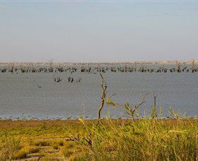 Lake Victoria - Lightning Ridge Tourism 0