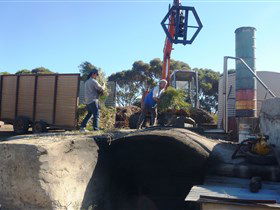 Emu Ridge Eucalyptus - Lightning Ridge Tourism 1