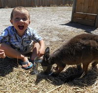 Animal Farm Goolwa - Lightning Ridge Tourism