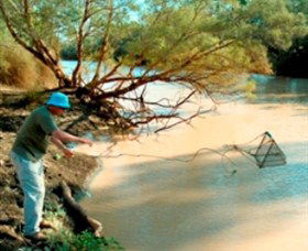 Charleville - Ward River Fishing Spot - Lightning Ridge Tourism 0