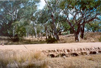 Charleville - Ward River Fishing Spot - Lightning Ridge Tourism 1