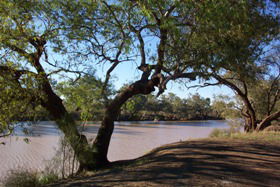 Charleville - Bakers Bend Warrego River Fishing Spot - Lightning Ridge Tourism 1