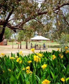 Charleville - Graham Andrews Parklands - Lightning Ridge Tourism 0
