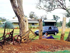 Charleville - Graham Andrews Parklands - Lightning Ridge Tourism 3