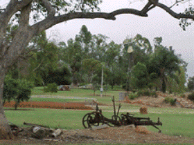 Charleville - Graham Andrews Parklands - Lightning Ridge Tourism 2