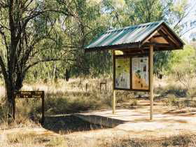 Charleville QLD Lightning Ridge Tourism