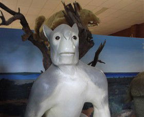 Wentworth Pioneer Museum - Lightning Ridge Tourism 4