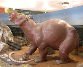Wentworth Pioneer Museum - Lightning Ridge Tourism 6