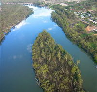 Sturt's Tree - Lightning Ridge Tourism