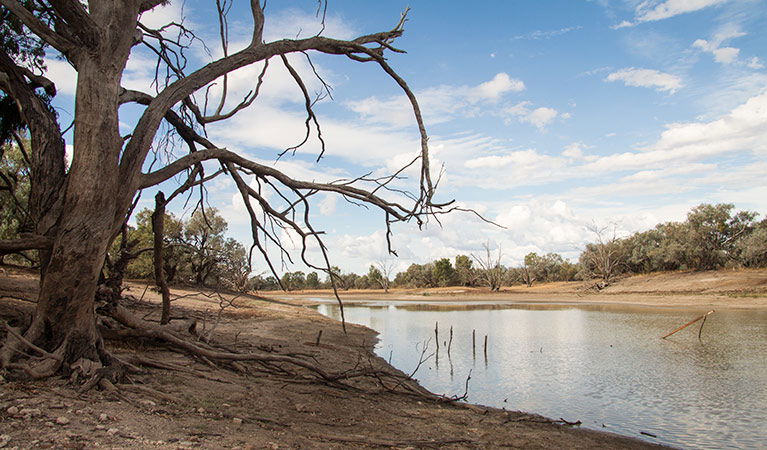 Yantabulla NSW Lightning Ridge Tourism
